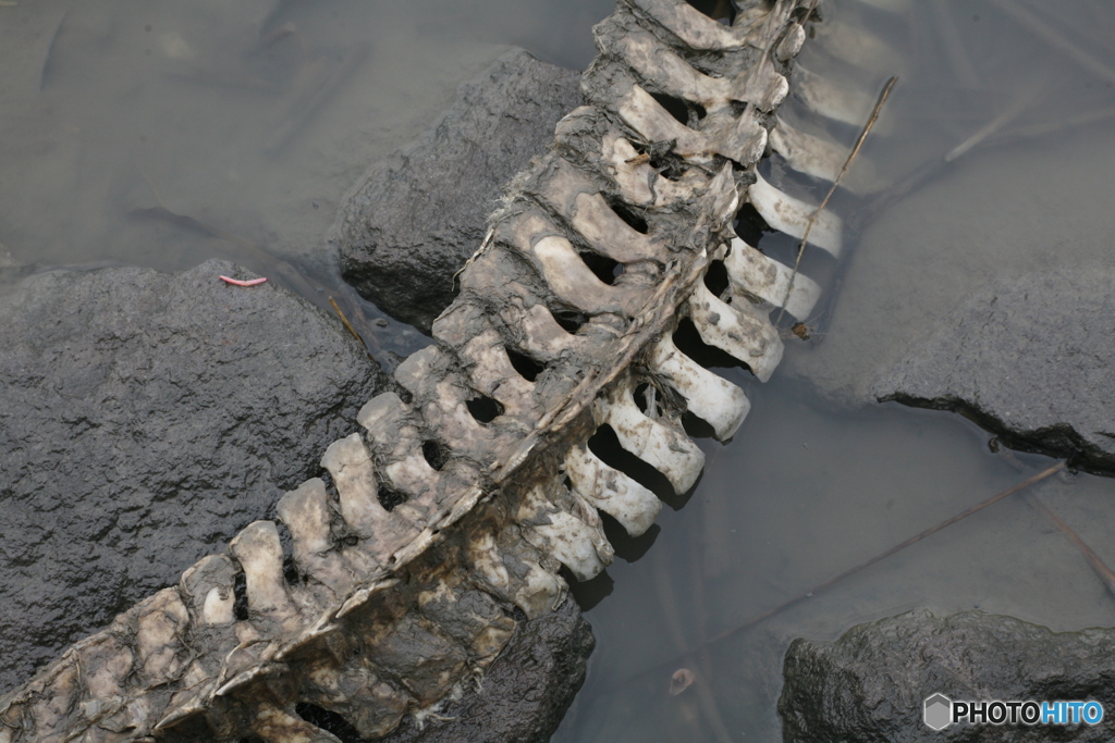 海きららさん教えて