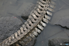 海きららさん教えて