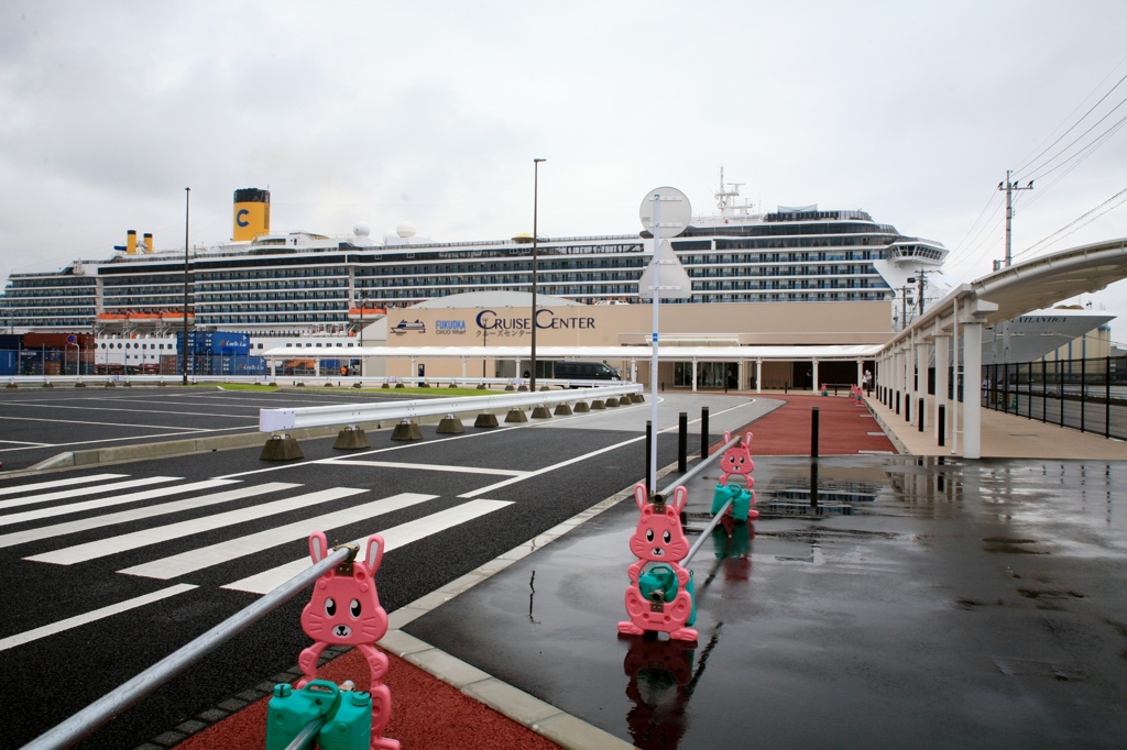 近くで見せてよ