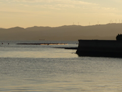 ことしの初キス