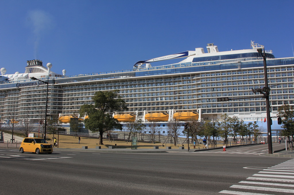 なんじゃこりゃ