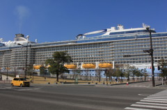 なんじゃこりゃ