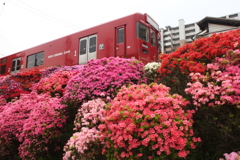 南久留米駅