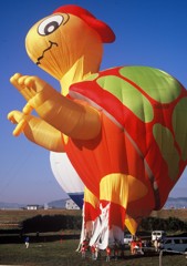 アメリカ生まれ