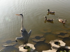 あおちゃん喜ぶ