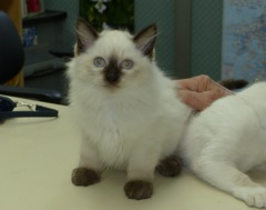 こんな感じかな？