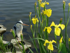 はいいい感じですよ