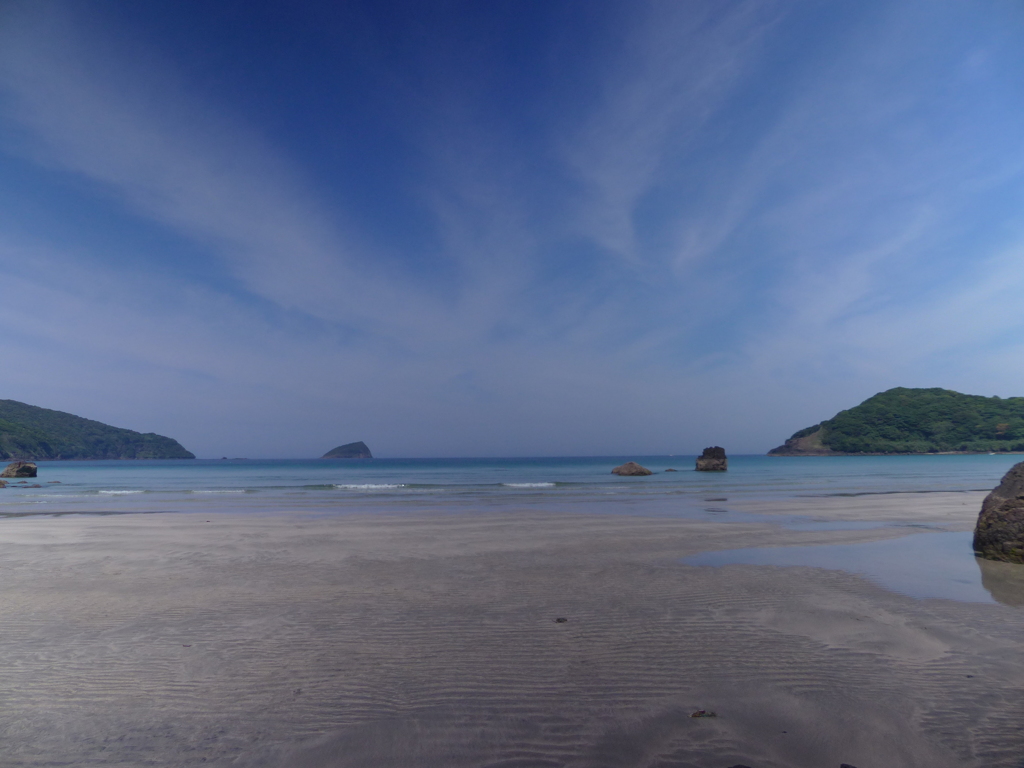 今日は三重県でメガマウス