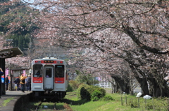 昨年３月２９日