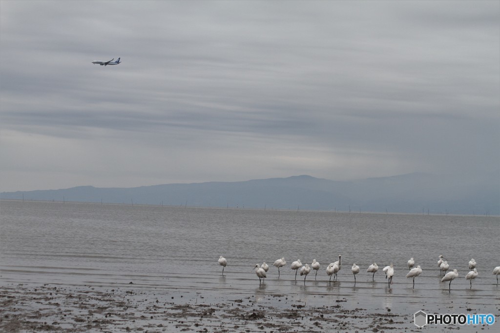 ようこそ佐賀空港へ