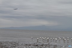 ようこそ佐賀空港へ