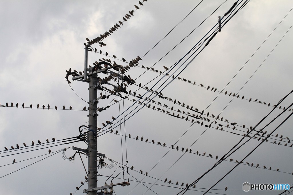 どこから数えましょうか