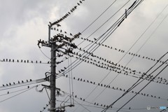 どこから数えましょうか