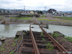 流木が堰みたいに塞いだみたい