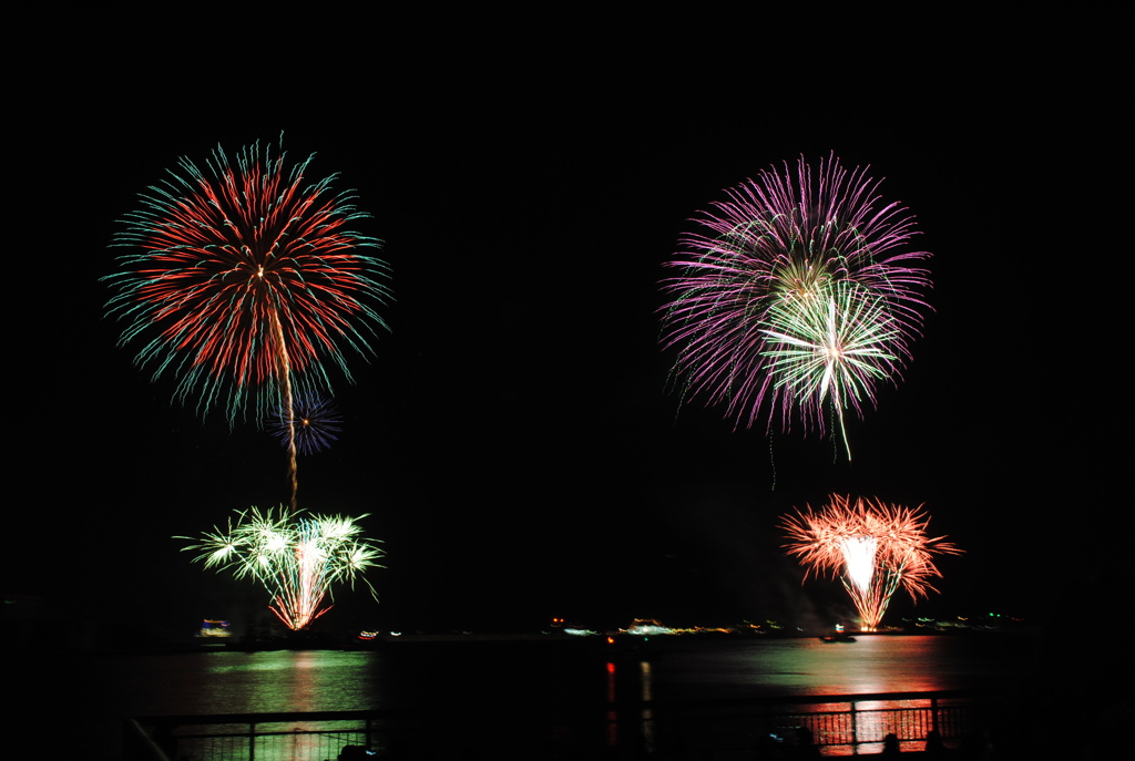 鹿児島のひまわり