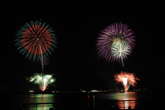 鹿児島のひまわり