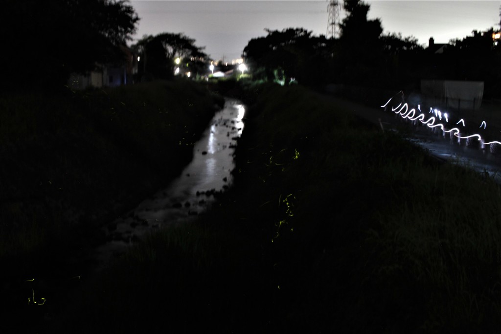 懐中電灯の光跡