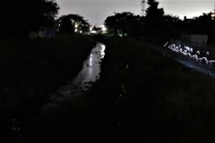 懐中電灯の光跡