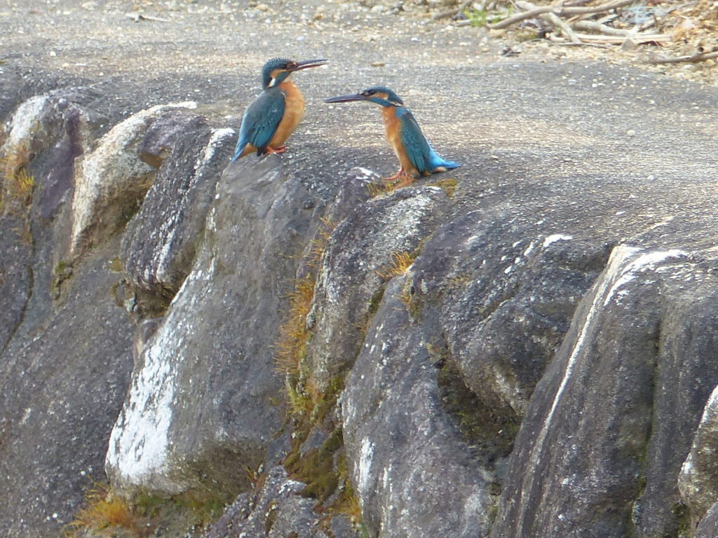 ねーどこか連れて行ってよ