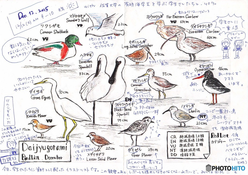 こんなのがいます