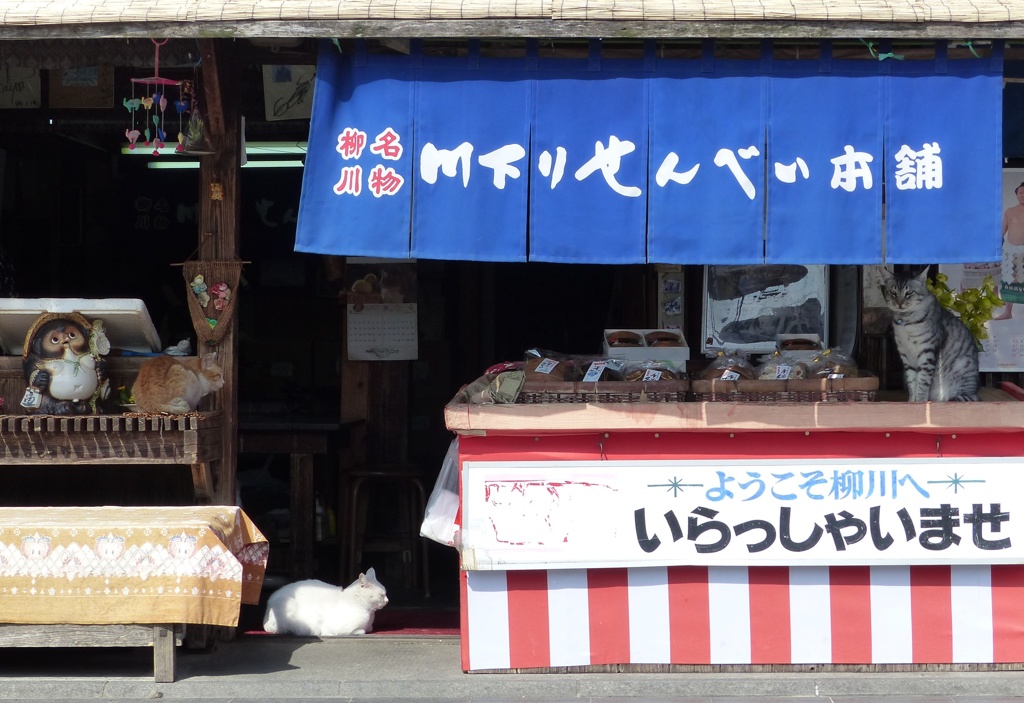 招き猫