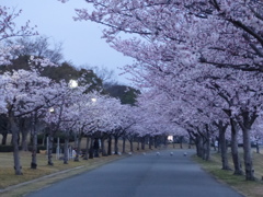 ゆうぐれ