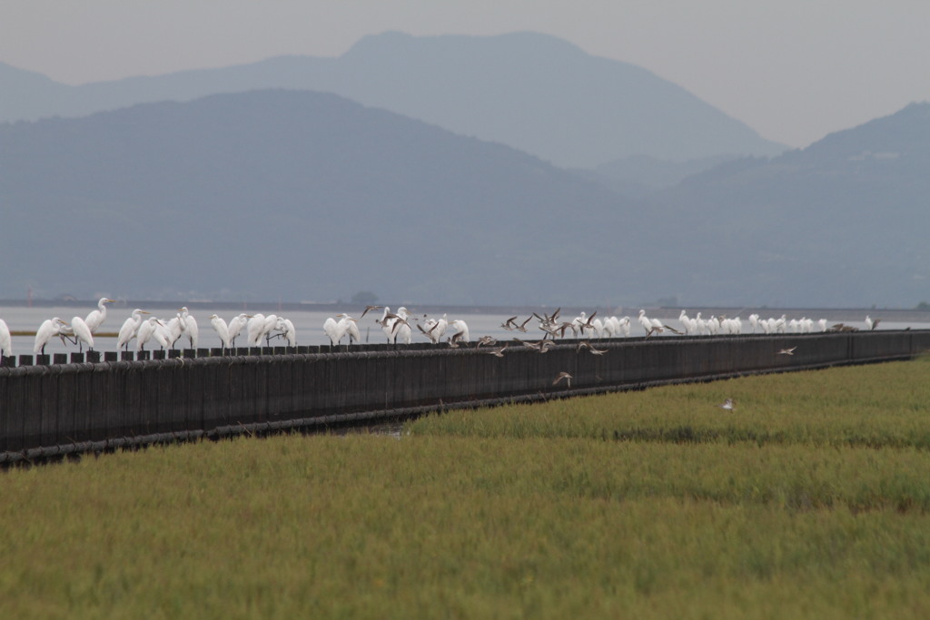 これも長いんです