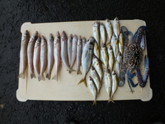 連休いきたいな