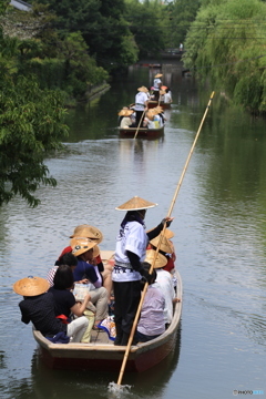ようきんしゃったね