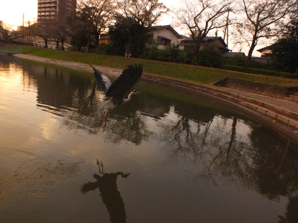 ゆうやけ