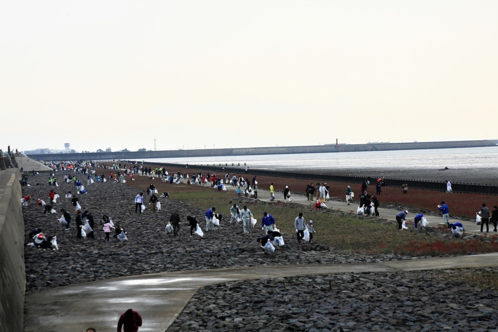 今日は清掃の日