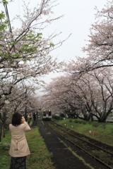 振り向かないで