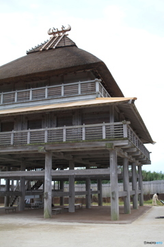 すごい木造建築