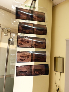 遺跡発掘ですね