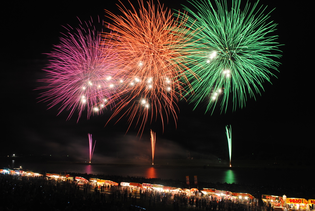 どの花見てもきれいだね