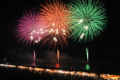 どの花見てもきれいだね