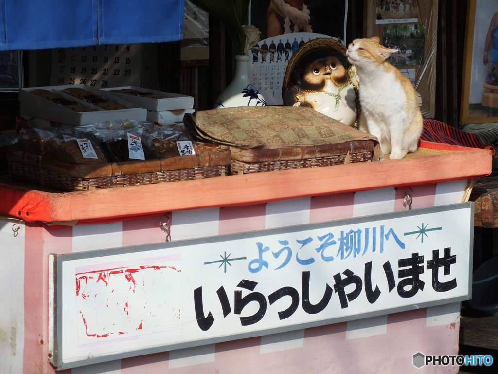 お店番