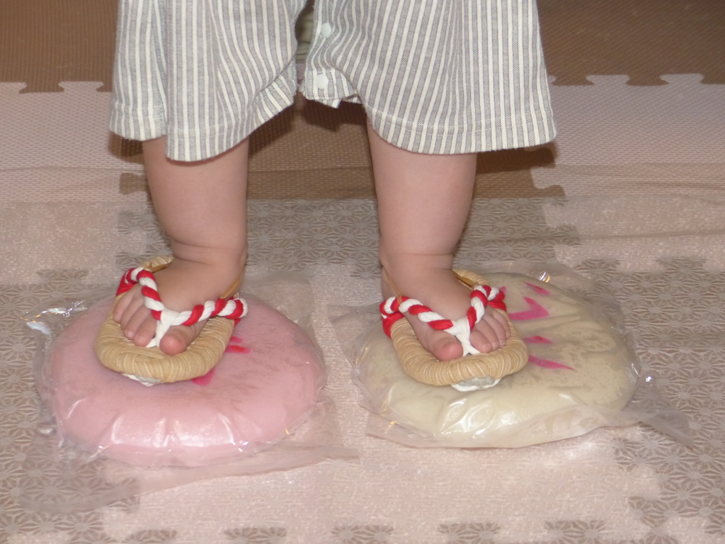 やったぜ。一才