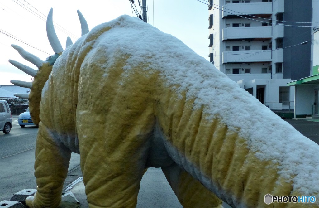 予報より雪がすくない