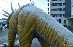 予報より雪がすくない