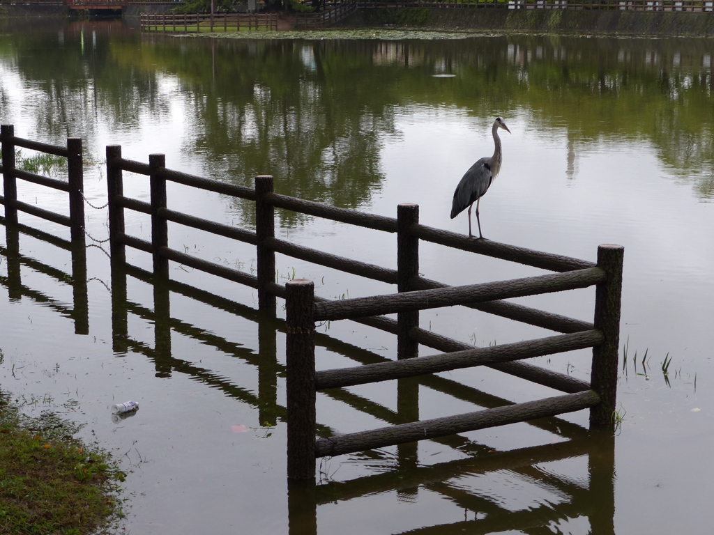 オーバーフロー