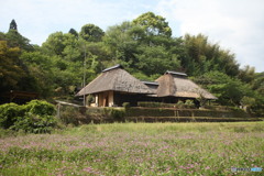 蓮華１