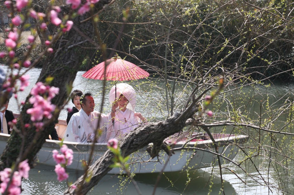今日はカメラマンすごいです