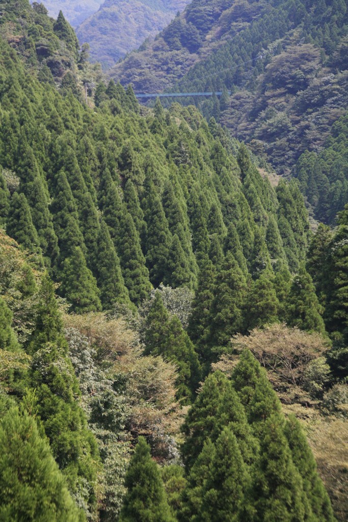来月末位に、またこよう
