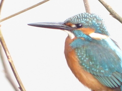 はいいいですよ