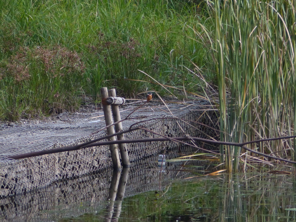 もっと、ちこう