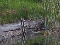 もっと、ちこう