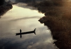 よか写真でした。