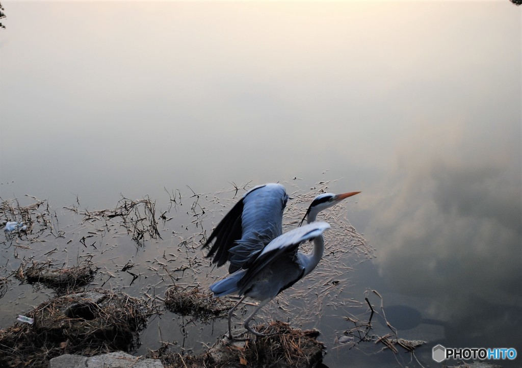 かっこよく写して