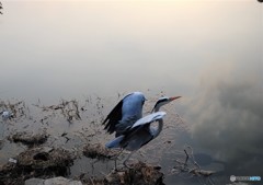 かっこよく写して